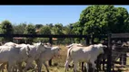 Foto 4 de Fazenda/Sítio à venda em Centro, Itapirapuã