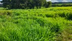 Foto 33 de Fazenda/Sítio com 3 Quartos à venda, 5500000m² em Centro, São João da Ponte