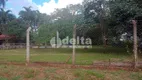 Foto 30 de Fazenda/Sítio com 3 Quartos à venda, 250m² em Area Rural de Uberlandia, Uberlândia