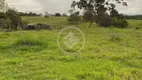 Foto 28 de Fazenda/Sítio à venda, 20m² em Zona Rural, Hidrolândia