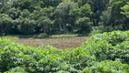 Foto 2 de Fazenda/Sítio com 4 Quartos à venda, 100000m² em Area Rural de Patos de Minas, Patos de Minas