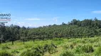Foto 55 de Fazenda/Sítio com 21 Quartos à venda, 2800m² em Vila Nova , Amparo
