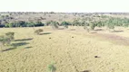 Foto 9 de Fazenda/Sítio à venda em Zona Rural, Santa Terezinha de Goiás