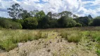 Foto 26 de Lote/Terreno à venda, 96800m² em Rondinha, Campo Largo