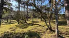 Foto 31 de Lote/Terreno à venda, 20000m² em Aguas Brancas, Urubici