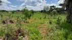 Foto 48 de Fazenda/Sítio com 3 Quartos à venda, 345000m² em Area Rural de Aguas Lindas de Goias, Águas Lindas de Goiás