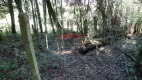 Foto 18 de Fazenda/Sítio à venda, 3000m² em Areia Branca dos Assis, Mandirituba