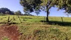 Foto 52 de Fazenda/Sítio com 2 Quartos à venda, 10m² em Zona Rural , Morrinhos