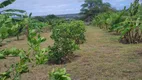 Foto 2 de Fazenda/Sítio com 4 Quartos à venda, 40000m² em Monte Alegre, Monte Alegre