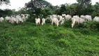 Foto 4 de Fazenda/Sítio com 3 Quartos à venda, 200m² em Centro, Lassance