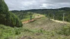 Foto 11 de Fazenda/Sítio com 1 Quarto à venda, 40m² em Centro, Bocaiúva do Sul