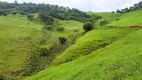 Foto 7 de Fazenda/Sítio à venda, 242000m² em Zona Rural, Piranguçu