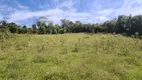 Foto 34 de Fazenda/Sítio com 3 Quartos à venda, 30000m² em Pedra Branca, Alfredo Wagner