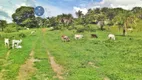 Foto 3 de Fazenda/Sítio à venda em Zona Rural, Iporá