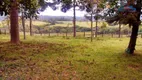 Foto 4 de Fazenda/Sítio com 3 Quartos à venda, 160000m² em Maracana, Glorinha