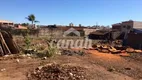 Foto 6 de Lote/Terreno para alugar, 1100m² em Vila Monte Alegre, Ribeirão Preto