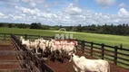 Foto 2 de Fazenda/Sítio à venda em Zona rural , Peixe