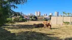 Foto 3 de Lote/Terreno à venda, 1500m² em Boa Vista, Uberaba