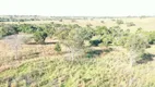 Foto 6 de Fazenda/Sítio à venda em Zona Rural, Santa Terezinha de Goiás