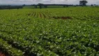 Foto 3 de Fazenda/Sítio à venda, 459m² em , Pires do Rio