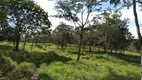 Foto 10 de Fazenda/Sítio à venda, 2662000m² em Zona Rural, Claraval