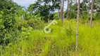 Foto 31 de Fazenda/Sítio com 4 Quartos à venda, 5000m² em Barra do Pojuca, Camaçari