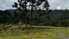 Foto 8 de Fazenda/Sítio à venda, 20000m² em , Urubici