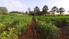 Foto 10 de Fazenda/Sítio com 3 Quartos à venda, 65000m² em Planaltina, Brasília