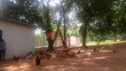 Foto 46 de Fazenda/Sítio com 4 Quartos à venda, 44m² em Sítios Reunidos de Santa Maria, Bauru