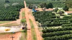 Foto 10 de Fazenda/Sítio à venda, 45700000m² em Zona Rural, Angatuba