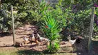 Foto 20 de Fazenda/Sítio com 3 Quartos à venda, 17000m² em Zona Rural, Caeté