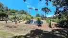 Foto 41 de Fazenda/Sítio com 3 Quartos à venda, 200m² em Bateias, Campo Largo