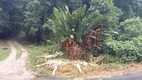 Foto 2 de Lote/Terreno à venda, 500m² em Horto Florestal, Ubatuba