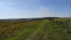 Foto 20 de Fazenda/Sítio à venda, 21000m² em São Luiz do Purunã, Balsa Nova