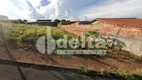 Foto 3 de Lote/Terreno à venda, 1300m² em Taiaman, Uberlândia