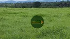 Foto 13 de Fazenda/Sítio à venda, 24000m² em Zona Rural, Dianópolis