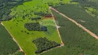 Foto 2 de Fazenda/Sítio com 3 Quartos à venda, 250m² em , Jaraguari