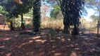 Foto 27 de Lote/Terreno à venda, 120m² em Jardim das Oliveiras, Trindade