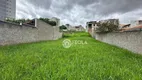 Foto 10 de Lote/Terreno à venda, 335m² em Jardim São Domingos, Americana