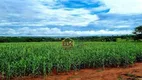 Foto 2 de Fazenda/Sítio com 10 Quartos à venda, 2371600m² em Zona Rural, Votuporanga