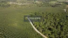 Foto 10 de Fazenda/Sítio à venda, 180m² em Barrolandia, Belmonte