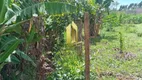 Foto 10 de Lote/Terreno à venda, 4000m² em Jardim Palestina, Franca