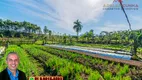 Foto 27 de Fazenda/Sítio com 2 Quartos à venda, 120m² em Campo da Brazina, Araricá