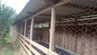 Foto 30 de Fazenda/Sítio com 3 Quartos à venda, 40000m² em Zona Rural, Santa Teresa