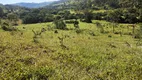 Foto 4 de Fazenda/Sítio com 3 Quartos à venda, 200m² em Olimpio Moreira, Itaúna