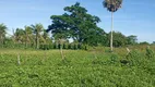 Foto 2 de Fazenda/Sítio com 3 Quartos à venda, 49000m² em Centro, São Gonçalo do Amarante