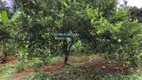 Foto 24 de Fazenda/Sítio com 3 Quartos à venda, 5000m² em Estância Vale das Brisas , Anápolis