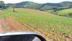 Foto 69 de Fazenda/Sítio com 3 Quartos à venda, 70m² em Zona Rural, São Lourenço