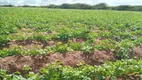 Foto 20 de Fazenda/Sítio com 3 Quartos à venda, 44000m² em Zona Rural, Touros