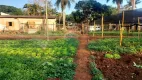 Foto 19 de Fazenda/Sítio à venda, 4250m² em Jardim America, Sertãozinho